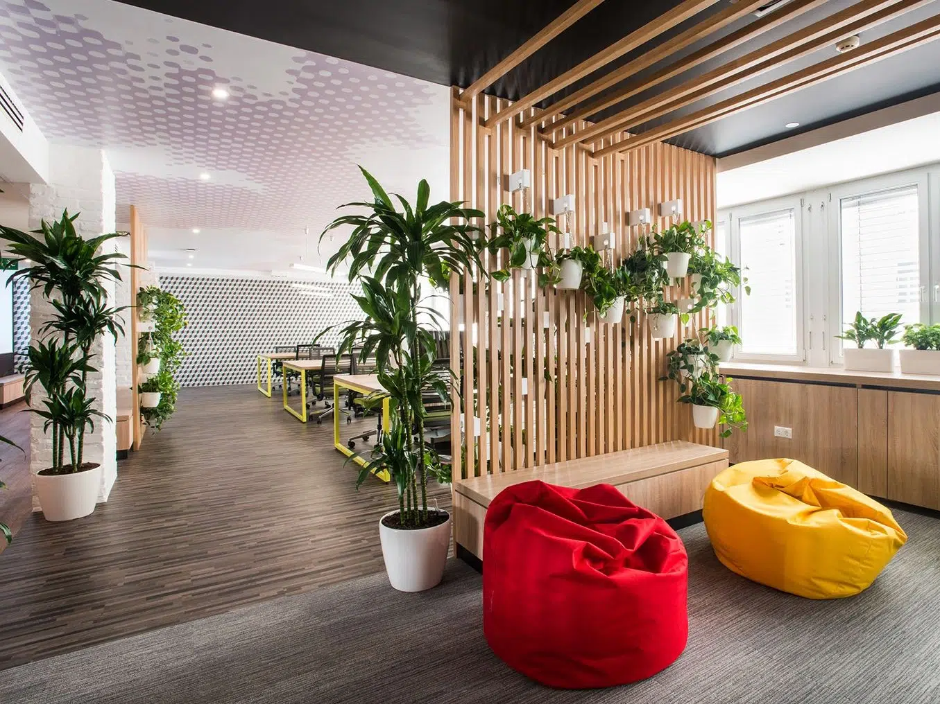 زترکیب پارتیشن و گیاهان