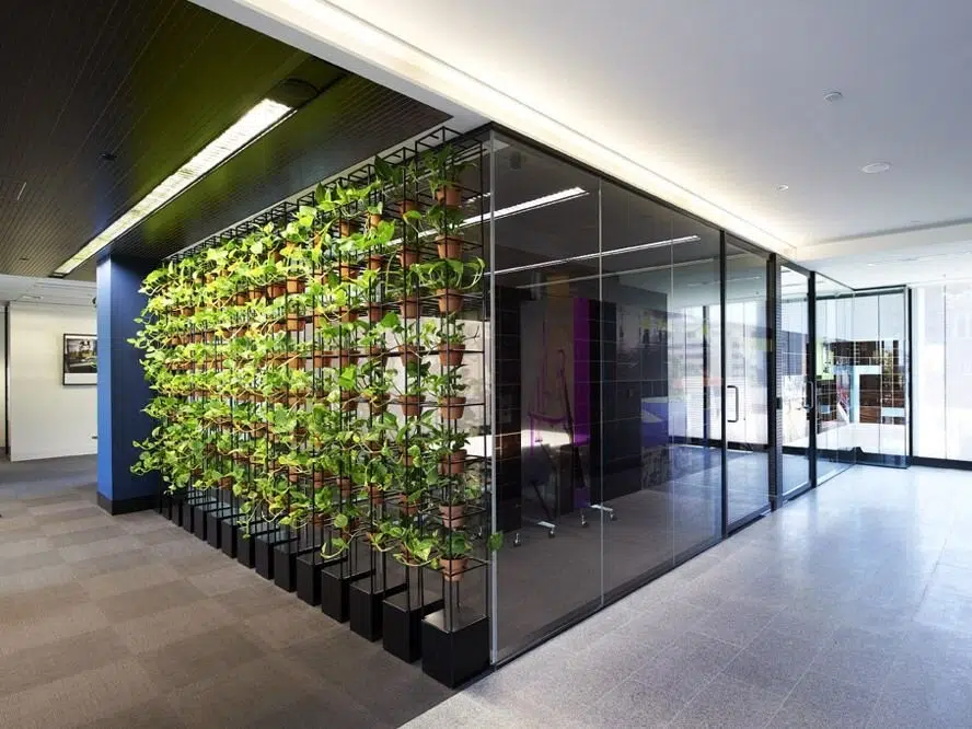 ترکیب پارتیشن و گیاهان