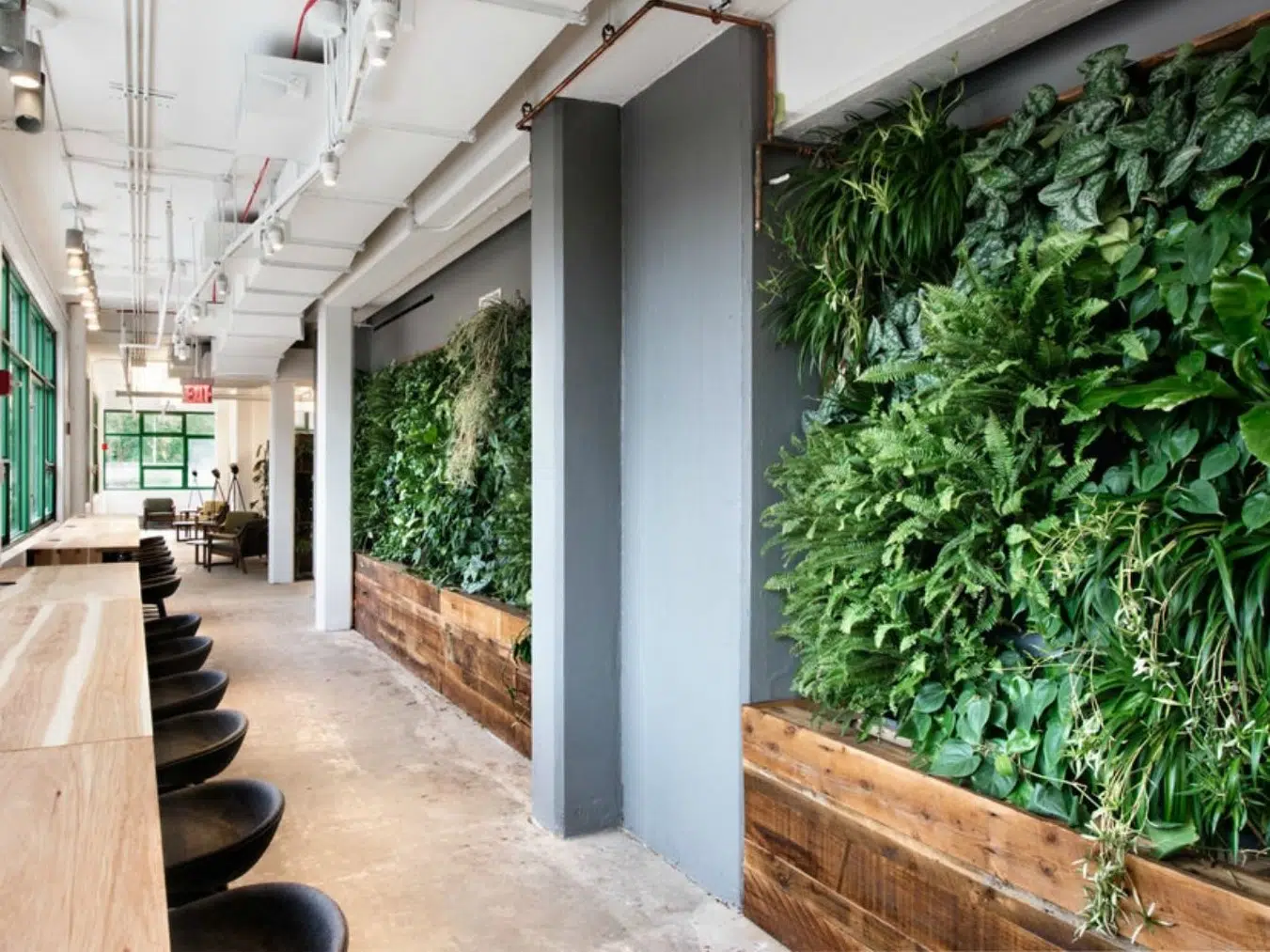 ترکیب پارتیشن و گیاهان