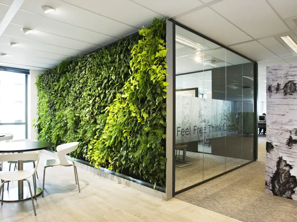 ترکیب پارتیشن و گیاهان