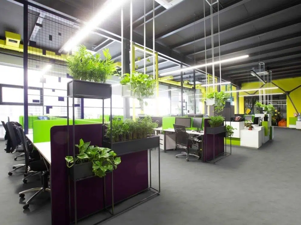 ترکیب پارتیشن و گیاهان