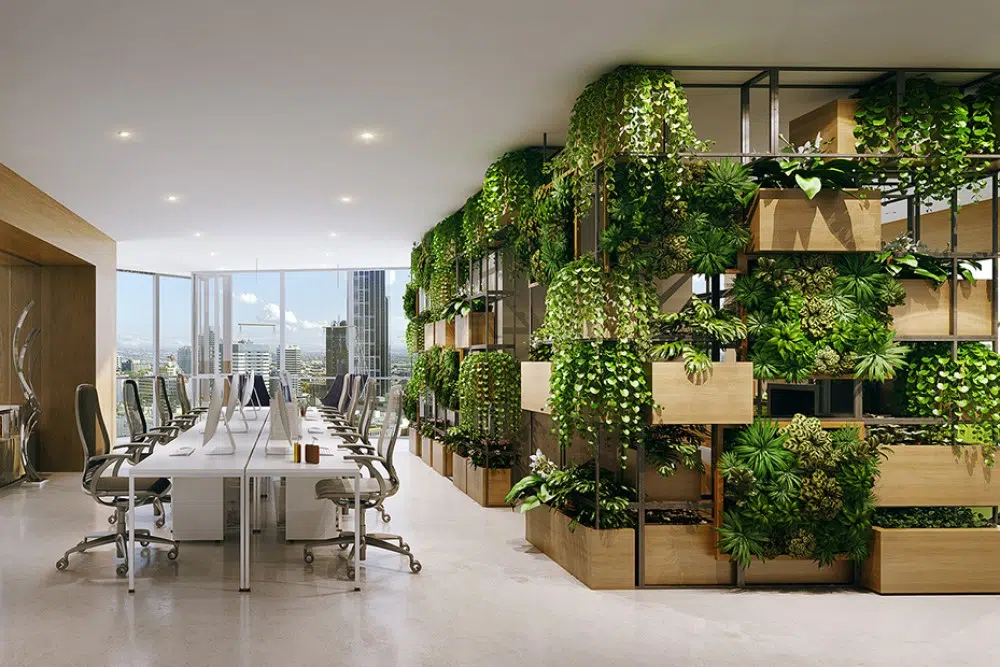 ترکیب پارتیشن و گیاهان