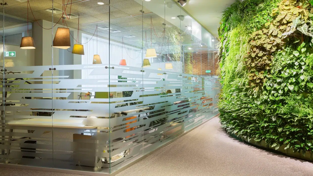 پارتیشن شیشه ای